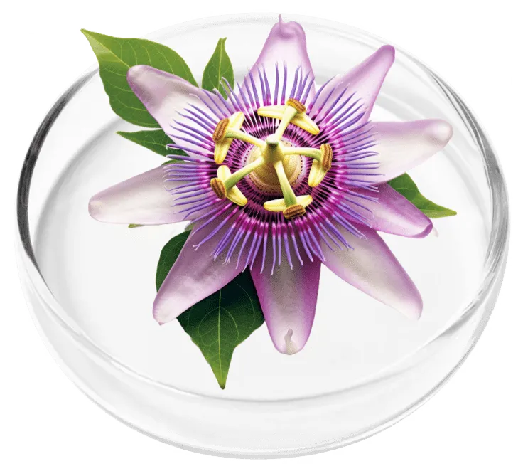 RenewRitual Ingredient Chrysin